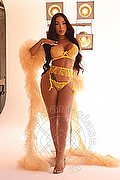 Milano Trans Al�cia Lins 324 7827663 foto 6