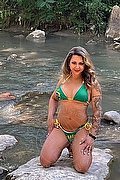 Bologna Trans Bellissima Miss Dea 345 4308919 foto 10
