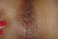 Grosseto Trans Linda 351 1748930 foto hot 6