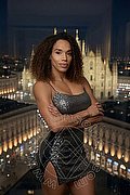 Milano Trans Violet 331 3881628 foto 4