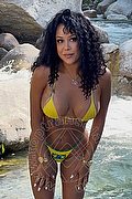 Sestri Levante Trans Beatrix 353 3246338 foto 4