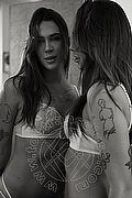 Milano Trans Nyx 329 5371331 foto 38