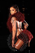 Dubai Trans Lua Fernandes 00306 940142428 foto 18