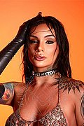 Dubai Trans Lua Fernandes 00306 940142428 foto 16