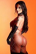Dubai Trans Lua Fernandes 00306 940142428 foto 14