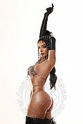 Dubai Trans Lua Fernandes 00306 940142428 foto 7