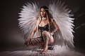 Modena Trans Bruna Chloer 351 4208269 foto 13