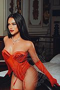Milano Trans Sammi Asiatica 392 6226622 foto 6
