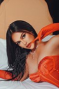 Milano Trans Sammi Asiatica 392 6226622 foto 4