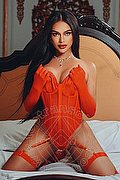 Milano Trans Sammi Asiatica 392 6226622 foto 2