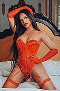 Milano Trans Sammi Asiatica 392 6226622 foto 1