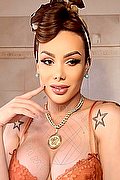 Milano Trans Kalena Rios Pornostar 377 3872350 foto 21