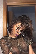 Firenze Trans Kiara Bardo 351 1773929 foto selfie 33