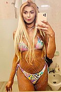 Roma Trans Tiffany Oliveira 371 6140791 foto selfie 175