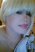 Milano Trans Nicole Vip Venturiny 353 3538868 foto selfie 438