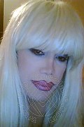 Milano Trans Nicole Vip Venturiny 353 3538868 foto selfie 430