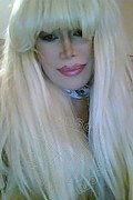 Milano Trans Nicole Vip Venturiny 353 3538868 foto selfie 410