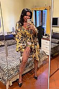 Alba Adriatica Trans Emme 333 1648972 foto selfie 156