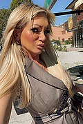 Villorba Trans Pamy La Diva Stellare 324 7819703 foto selfie 264