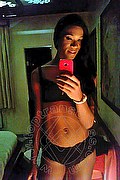 Rio De Janeiro Trans Naomi Savage 0055 219800801 foto selfie 10