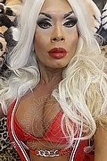 Genova Trans Naomi Angel 349 1282938 foto selfie 9