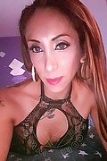 Viareggio Trans Leyla 338 3398084 foto selfie 36