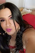 Frosinone Trans Camilla Sexy Bambola 329 7099256 foto selfie 15
