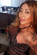 Gallarate Trans Alessandra Sexy 329 1769850 foto selfie 4