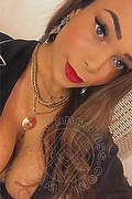 Rho Trans Nicole Moraes 388 7517090 foto selfie 32