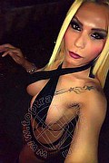 Caserta Trans Cinzia Brasiliana 344 4850435 foto selfie 11
