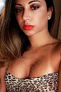 Bologna Trans Bellissima Miss Dea 345 4308919 foto selfie 3