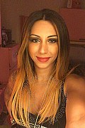 Bologna Trans Bellissima Miss Dea 345 4308919 foto selfie 16