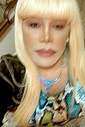 Milano Trans Nicole Vip Venturiny 353 3538868 foto selfie 175
