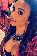 Bergamo Trans Haycka Pornostar 393 1191544 foto selfie 23