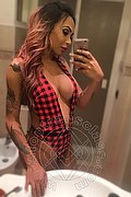 Bergamo Trans Haycka Pornostar 393 1191544 foto selfie 11