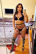 Alba Adriatica Trans Emme 333 1648972 foto selfie 121