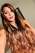 Roma Trans Tiffany Oliveira 371 6140791 foto selfie 84