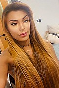 Roma Trans Tiffany Oliveira 371 6140791 foto selfie 51