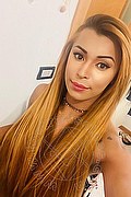 Roma Trans Tiffany Oliveira 371 6140791 foto selfie 41