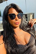 Roma Trans Tiffany Oliveira 371 6140791 foto selfie 141