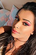 Roma Trans Tiffany Oliveira 371 6140791 foto selfie 104