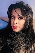 Roma Trans Tiffany Oliveira 371 6140791 foto selfie 92