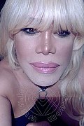 Milano Trans Nicole Vip Venturiny 353 3538868 foto selfie 120