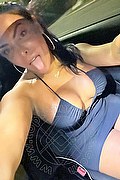 La Spezia Trans Elo 329 3324446 foto selfie 20