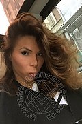 Milano Trans Sheila Lamborghini 344 0149006 foto selfie 31