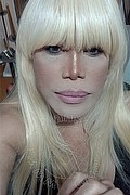 Milano Trans Nicole Vip Venturiny 353 3538868 foto selfie 94