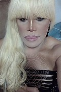 Milano Trans Nicole Vip Venturiny 353 3538868 foto selfie 152