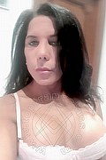 Novara Trans Nikole 331 2164480 foto selfie 8