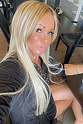 Villorba Trans Pamy La Diva Stellare 324 7819703 foto selfie 115