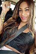 Licola Trans Beyonce 324 9055805 foto selfie 6